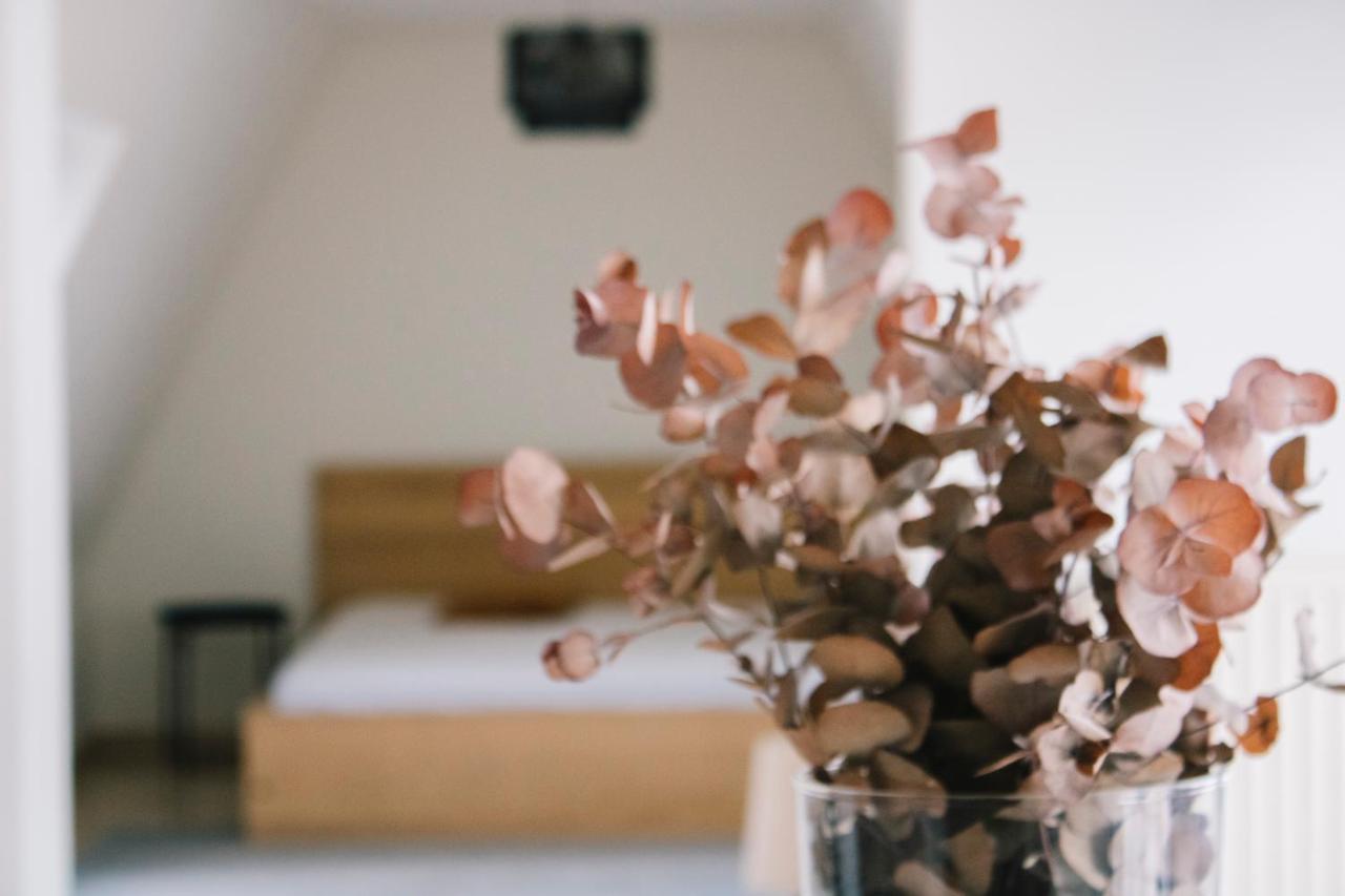 City Apartment 3 Bedroom, Kitchen, Wifi, Workspace, Coffee, Central ハッセルト エクステリア 写真